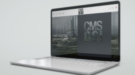 cmsdsi-webmockup
