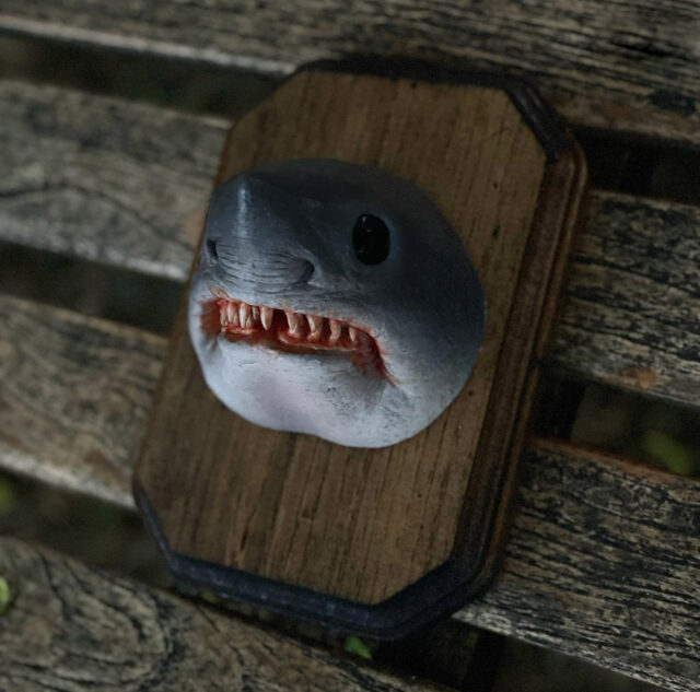 shark
