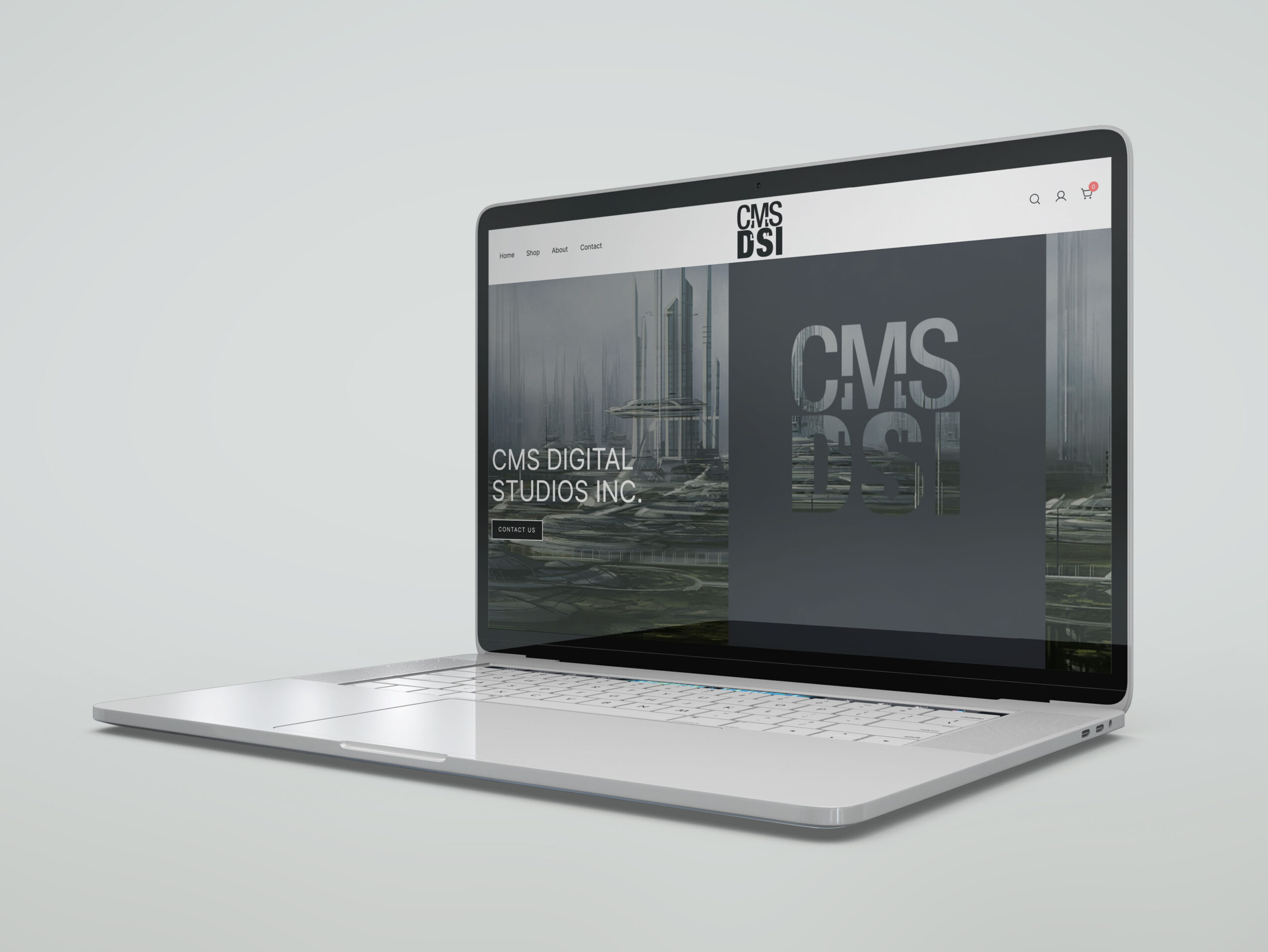 cmsdsi-webmockup