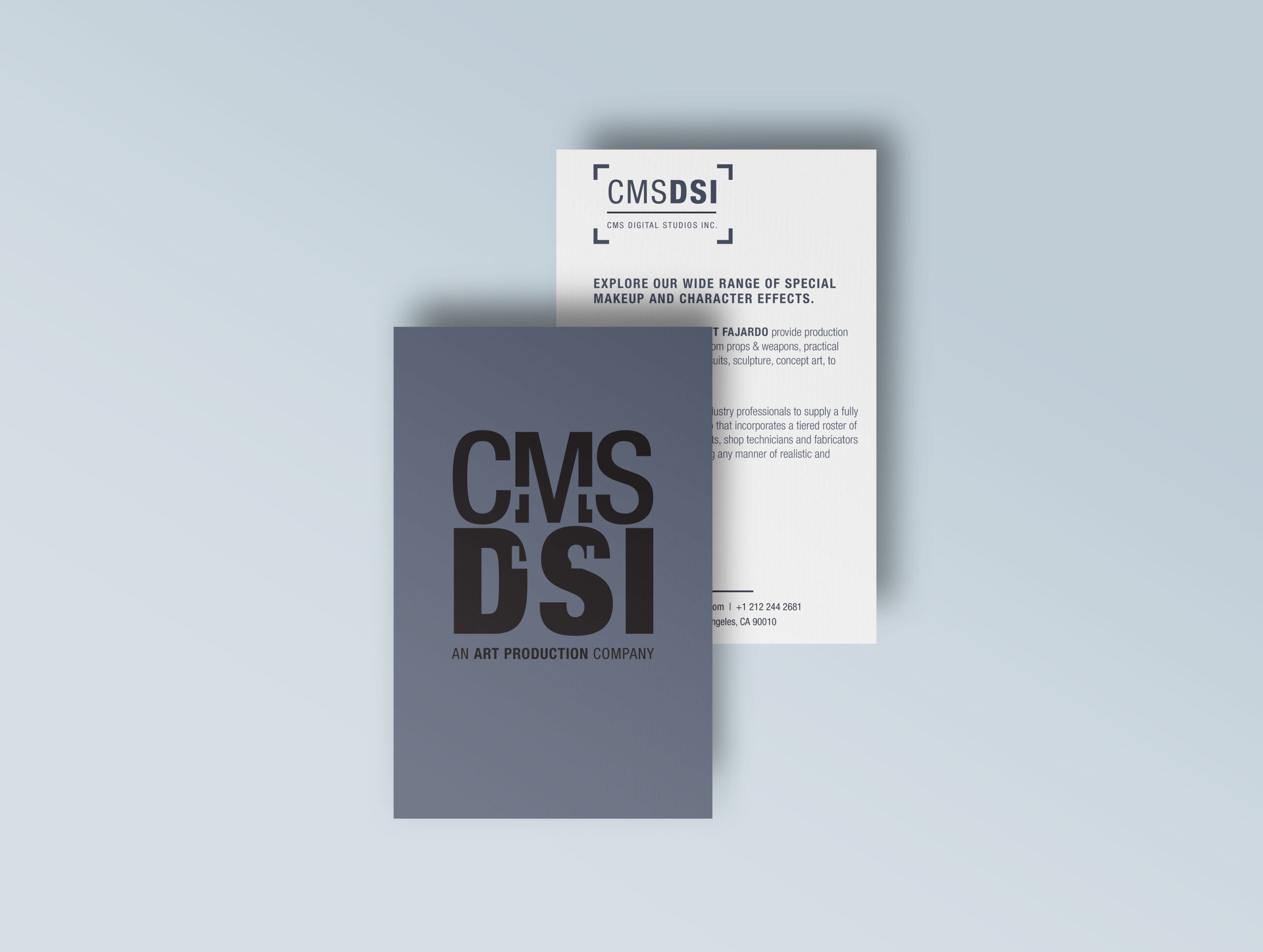 CMSDSI-Infocard